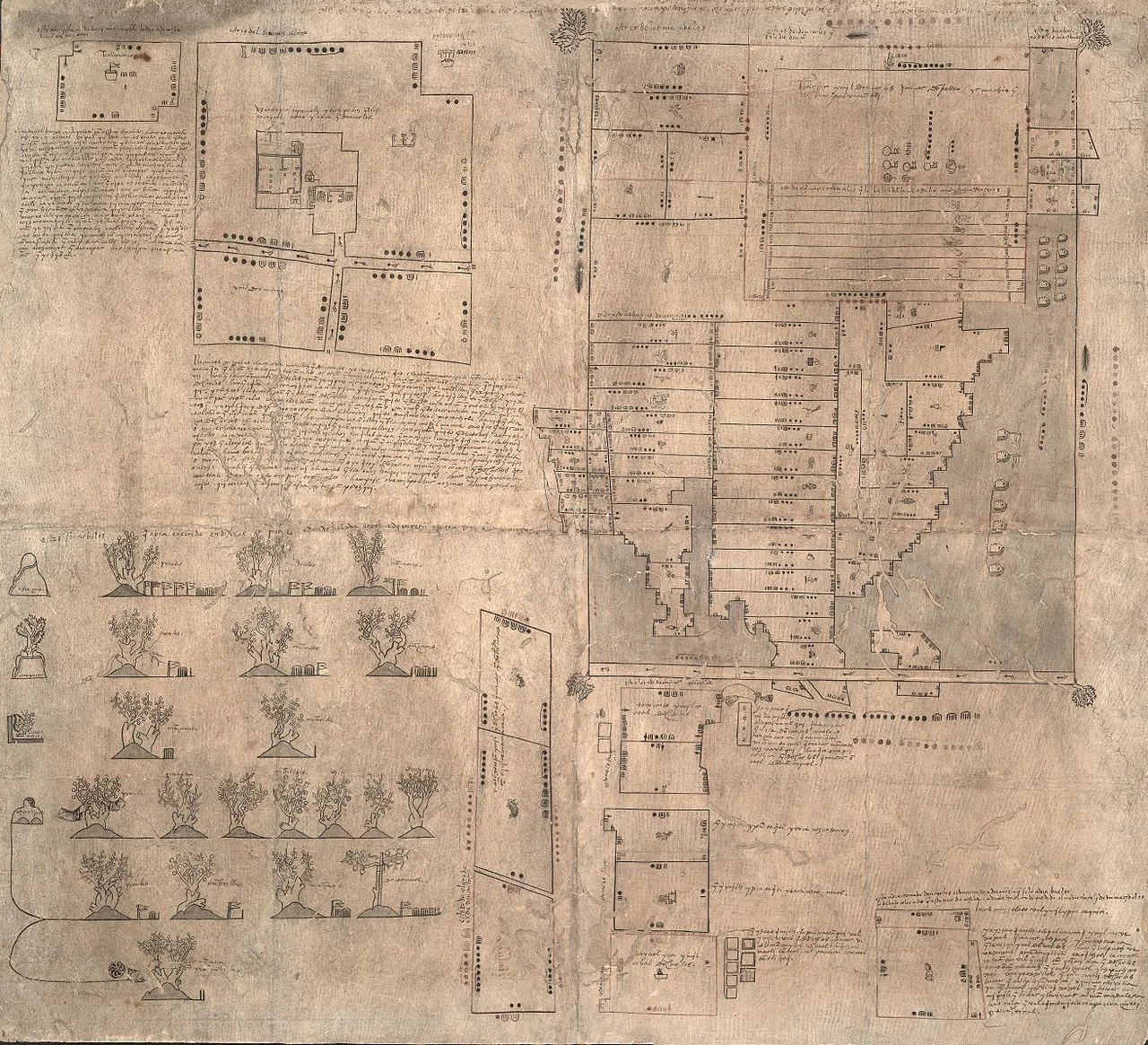 Photo of Tierra Negra