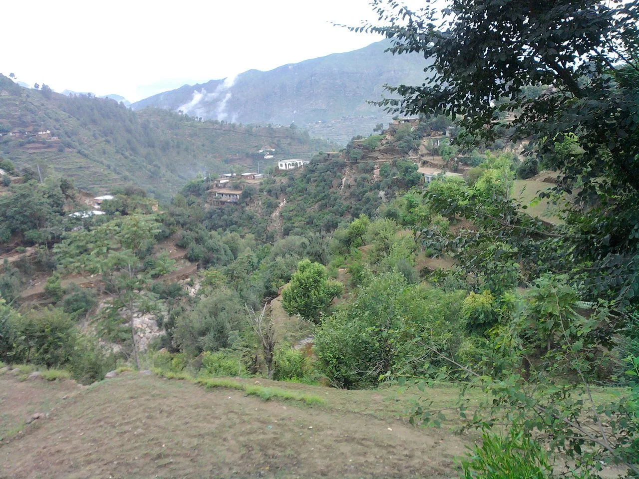 Photo of Timargara