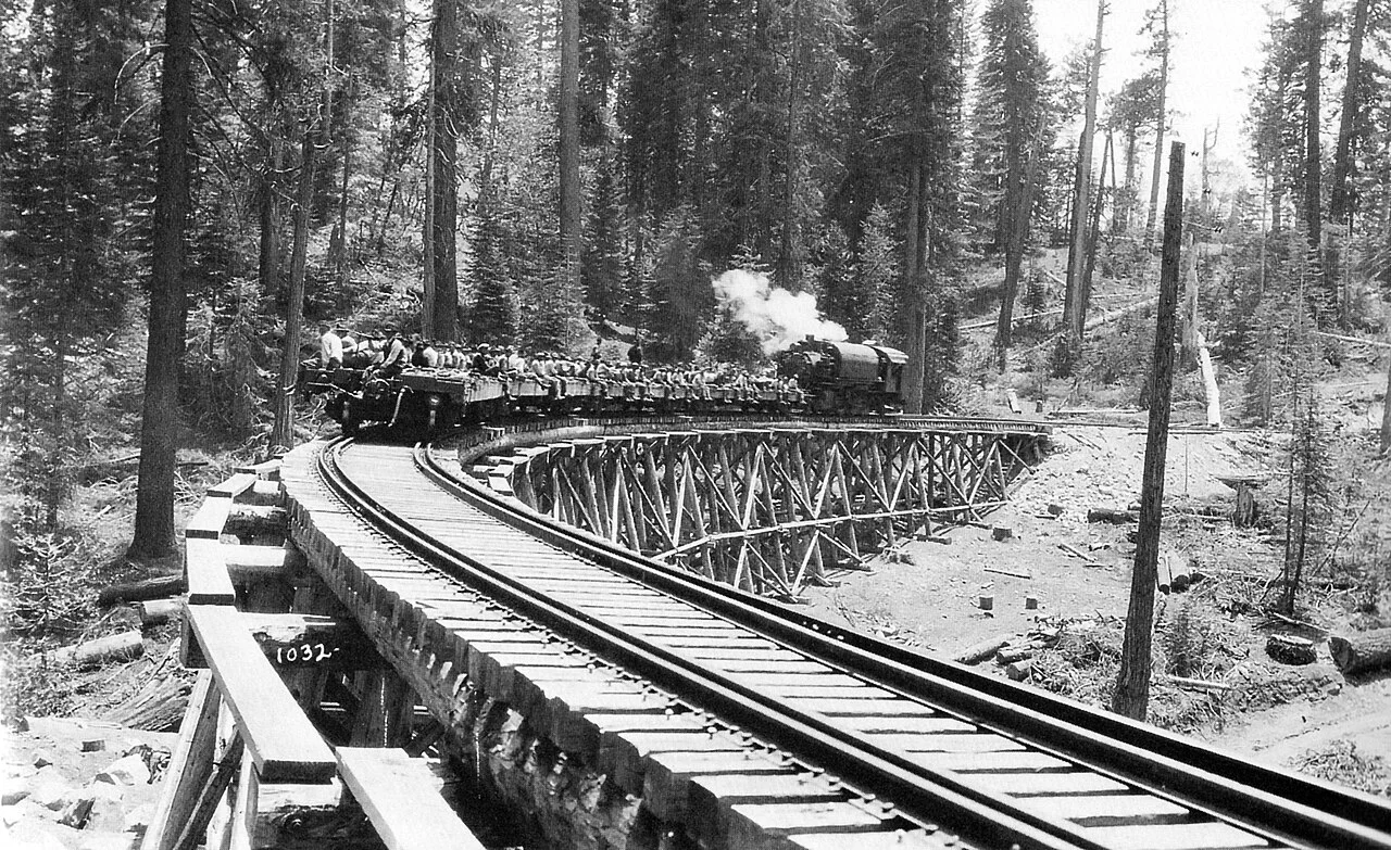 Photo of Timber Pines