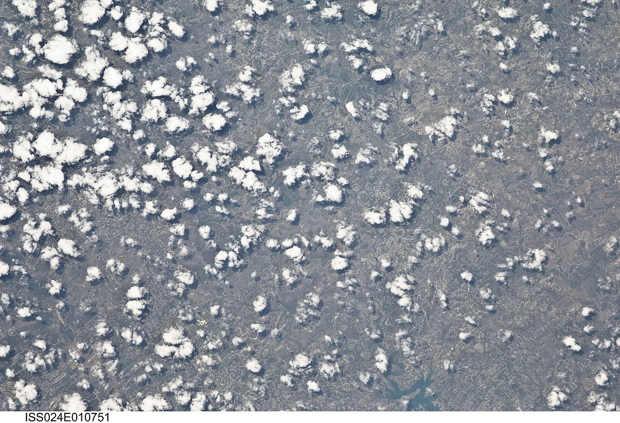 Photo of Timberwood Park