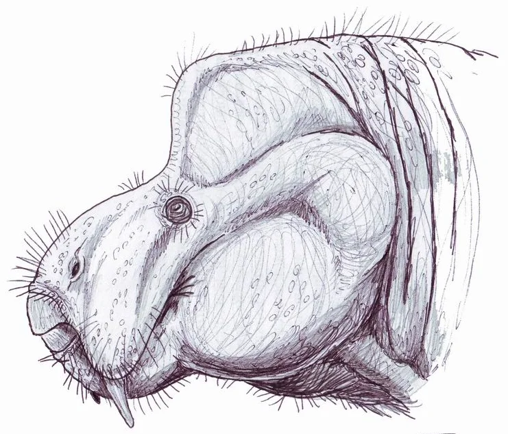 Photo of Timezgadiouine