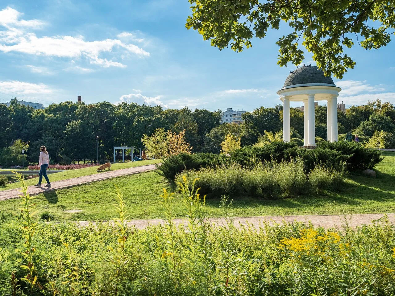 Photo of Timiryazevskiy