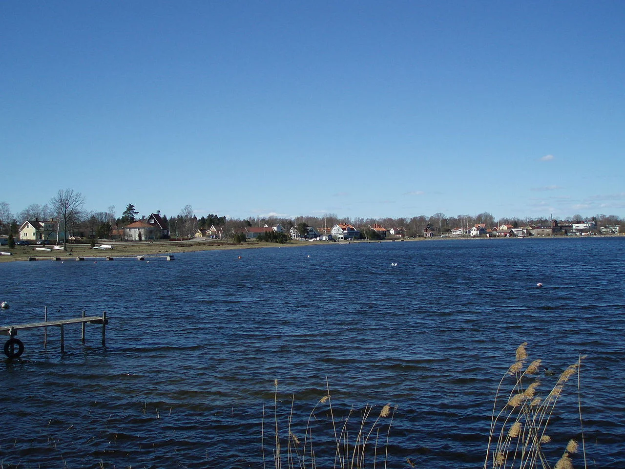 Photo of Timmernabben