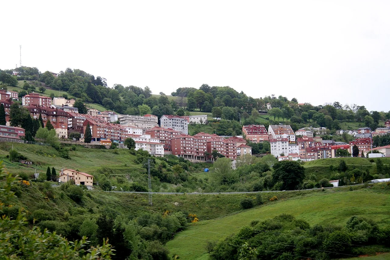 Photo of Tineo
