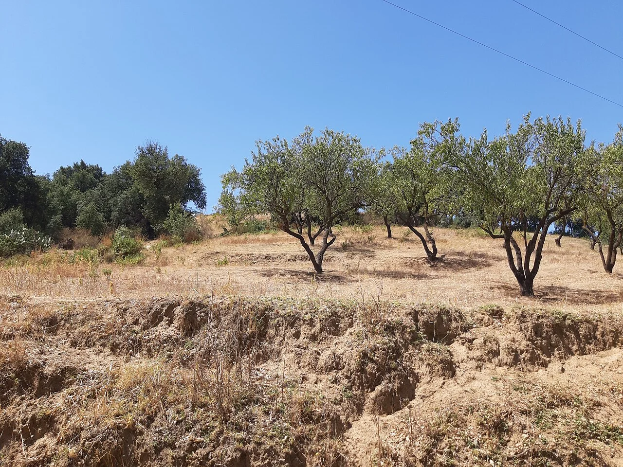 Photo of Tizi Gheniff