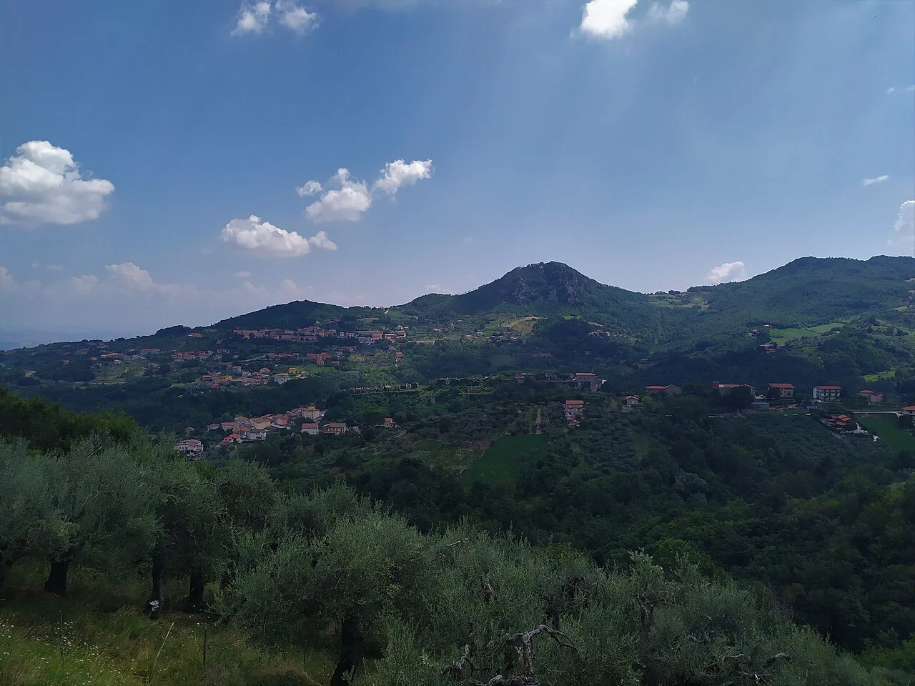 Photo of Tocco Caudio