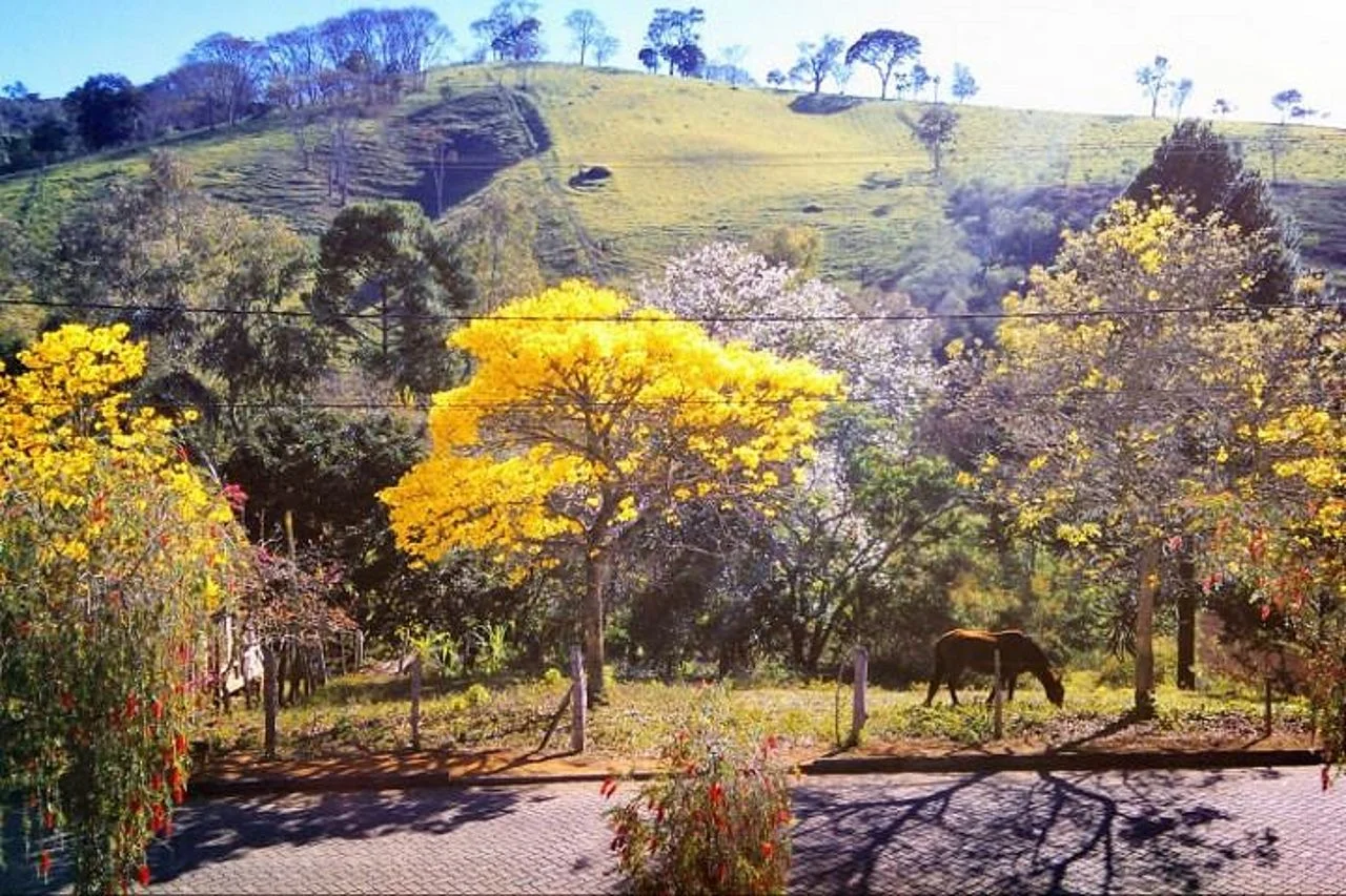 Photo of Tocos do Moji