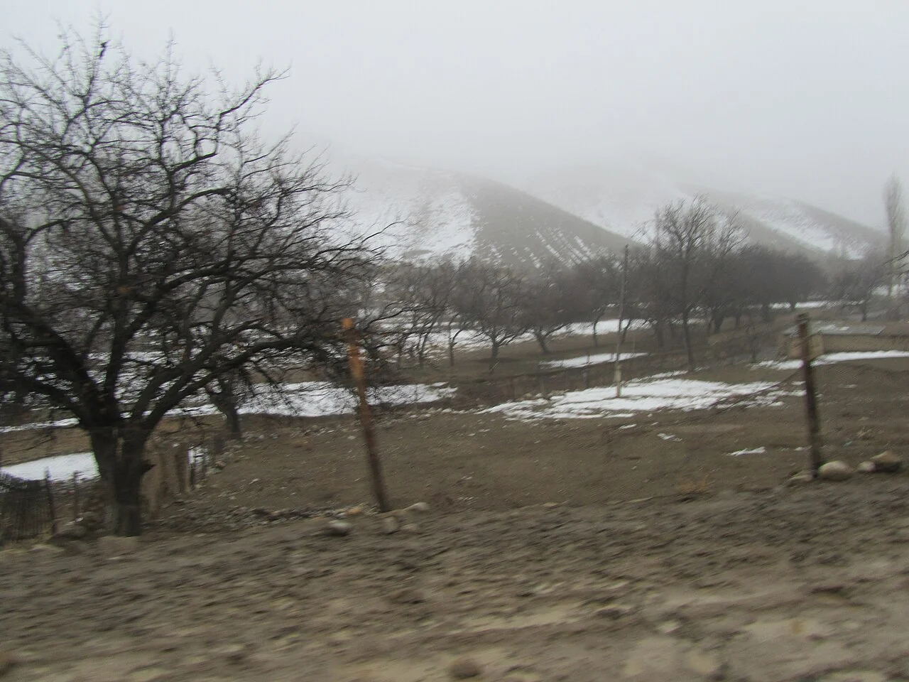 Photo of Toguz-Bulak