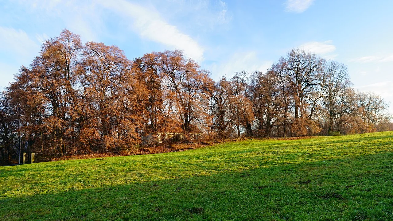 Photo of Tomaszkowice
