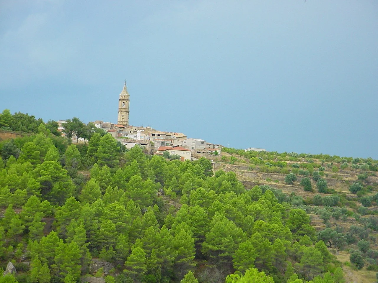 Photo of Torre del Compte