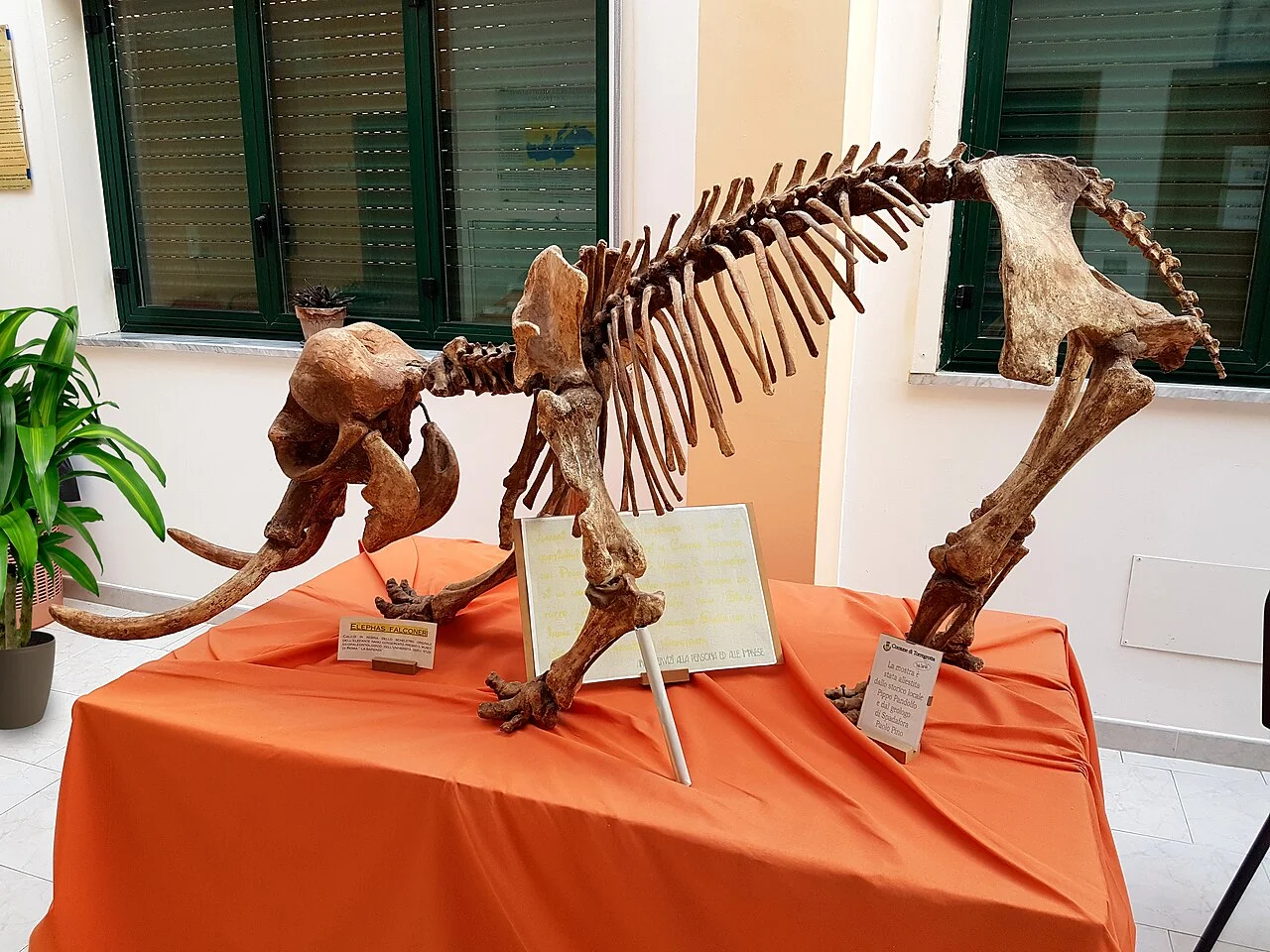 Photo of Torregrotta