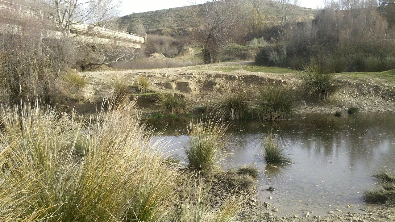 Photo of Torrejón del Rey