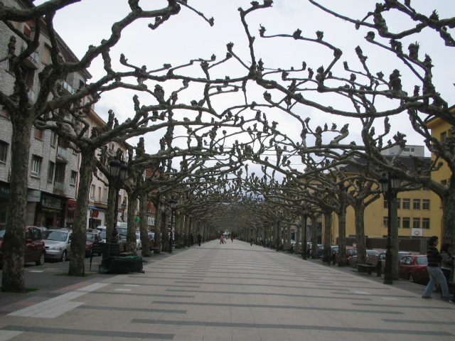 Avenida de España, en Torrelavega.