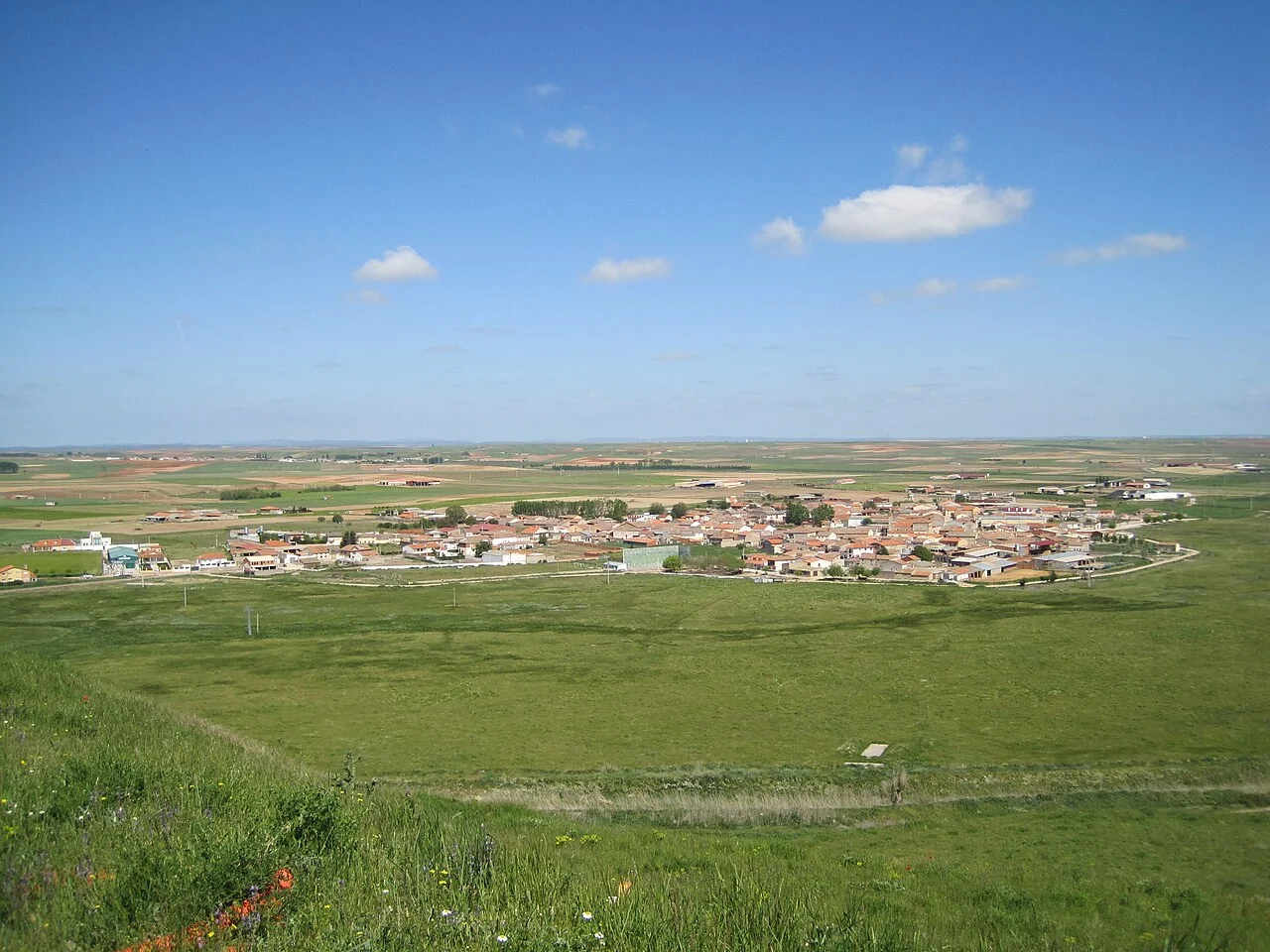 Photo of Torres del Carrizal