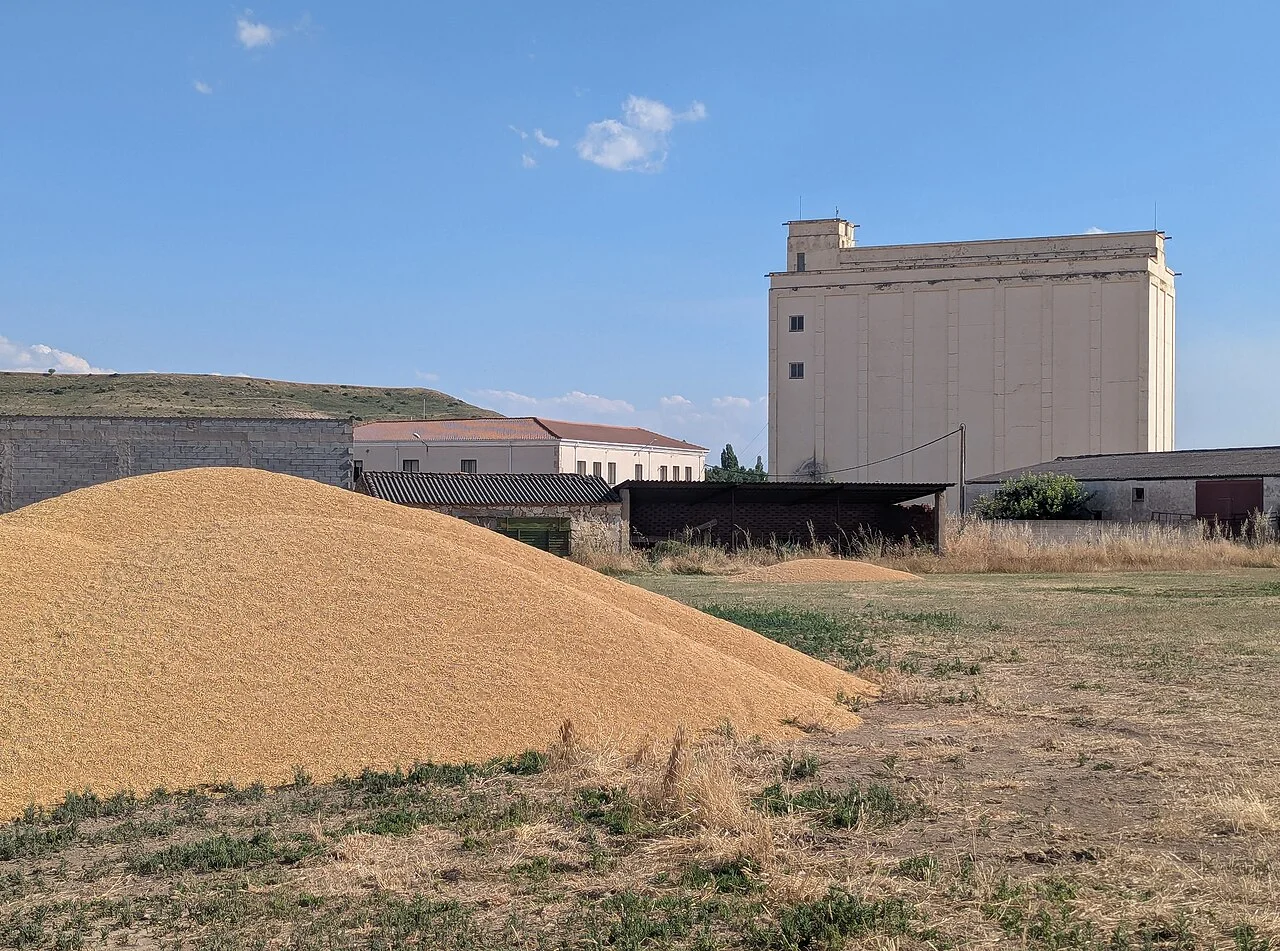 Photo of Torresandino