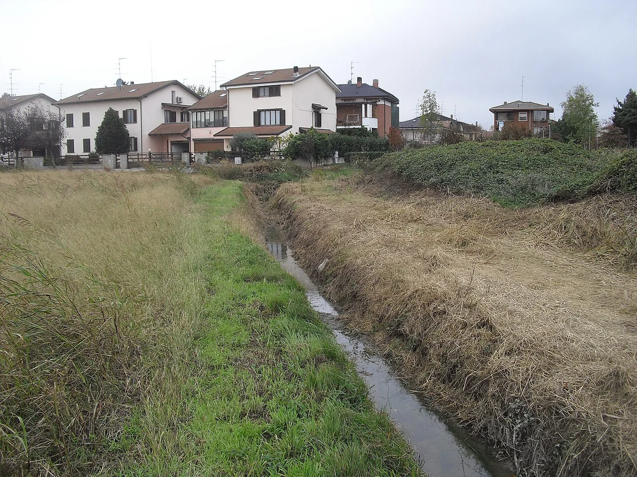 Photo of Torrion Quartara