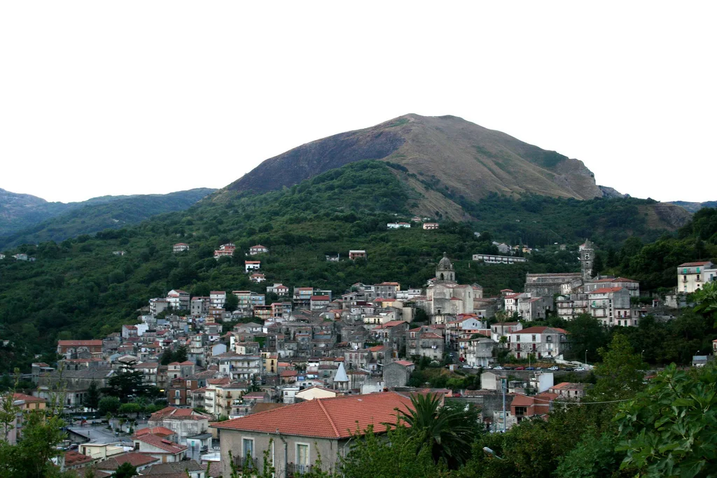 Photo of Tortorici