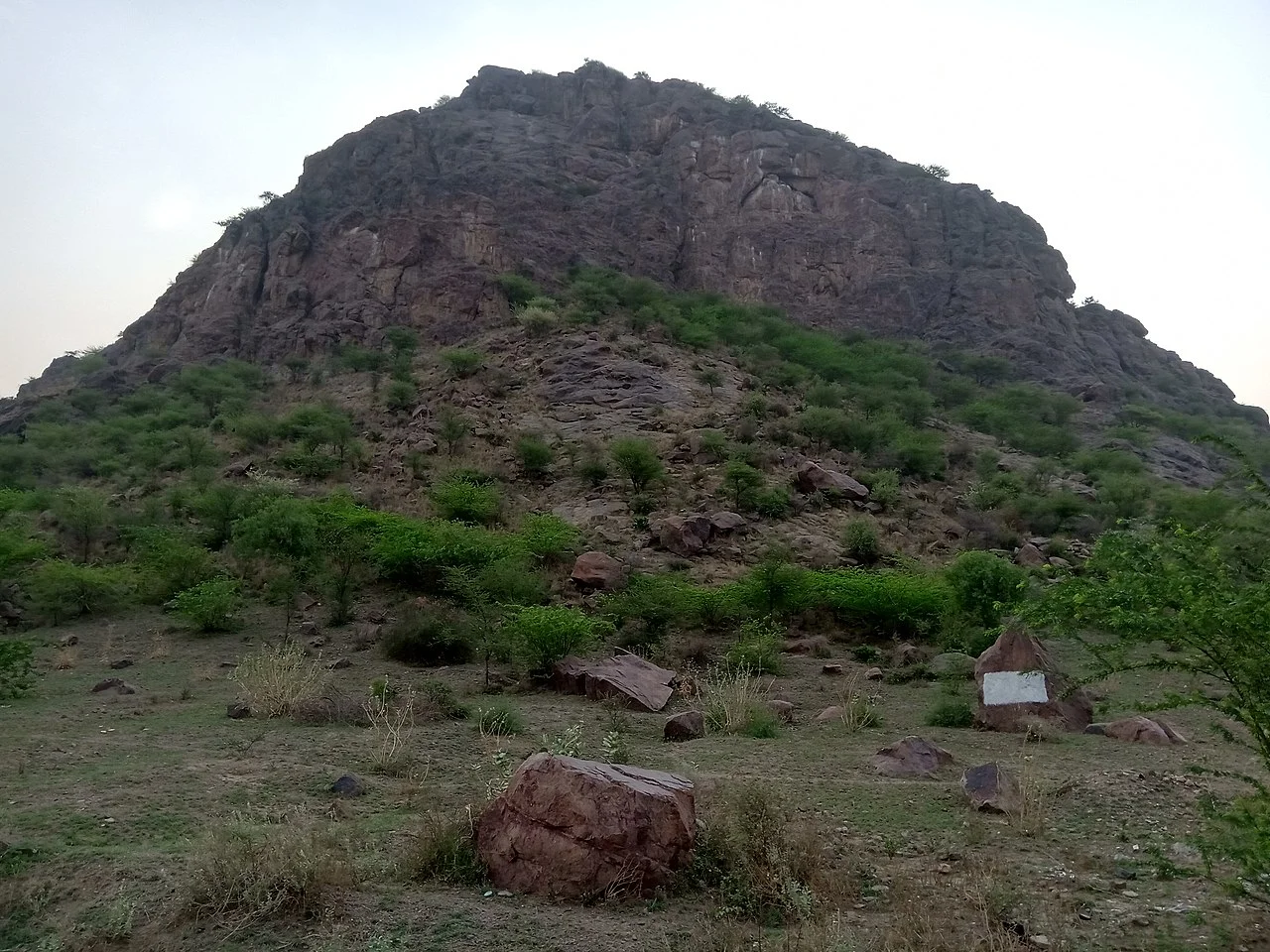 Photo of Toshām