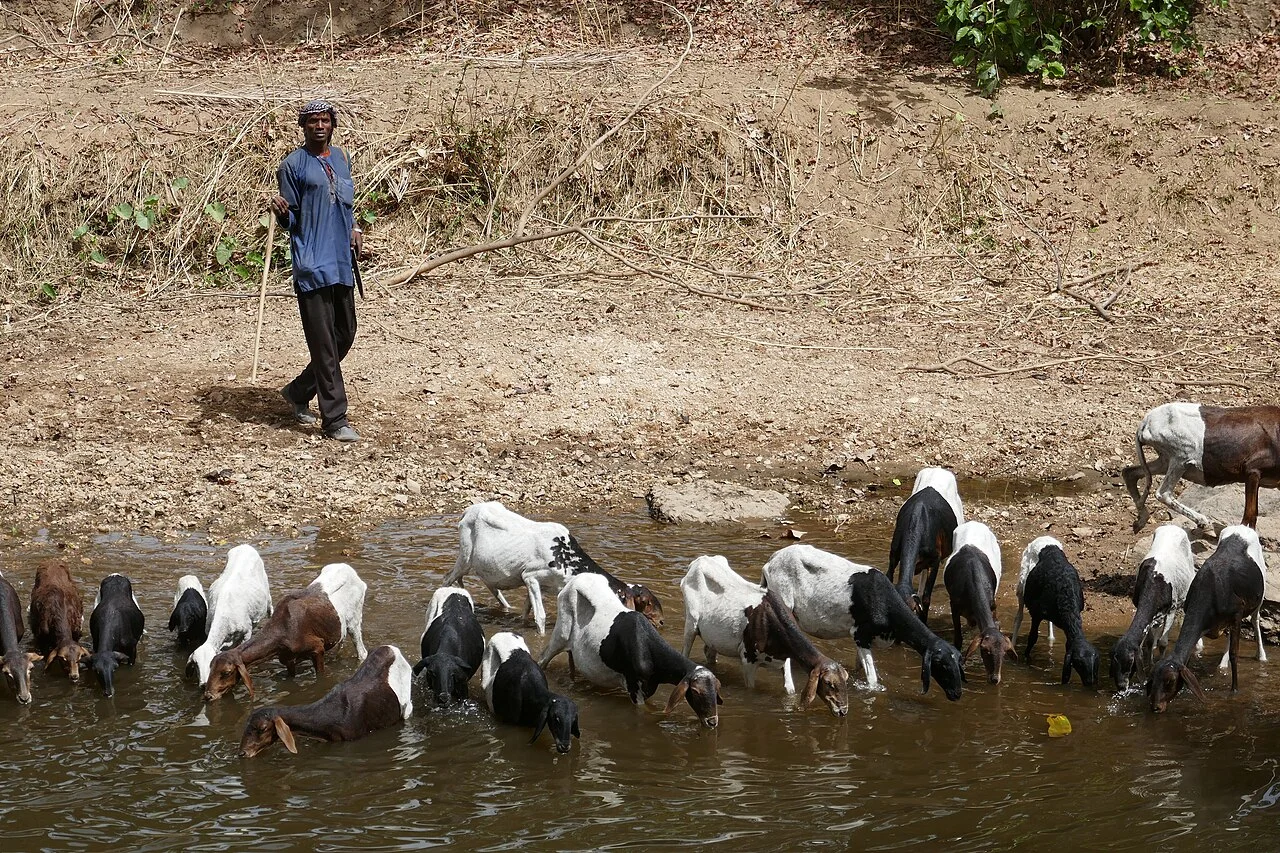 Photo of Toukountouna