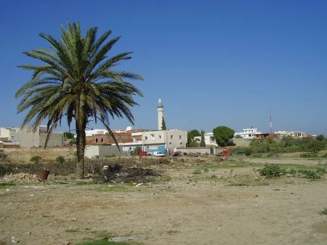 Photo of Touza