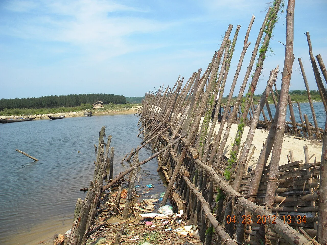 Photo of Trà Bồng
