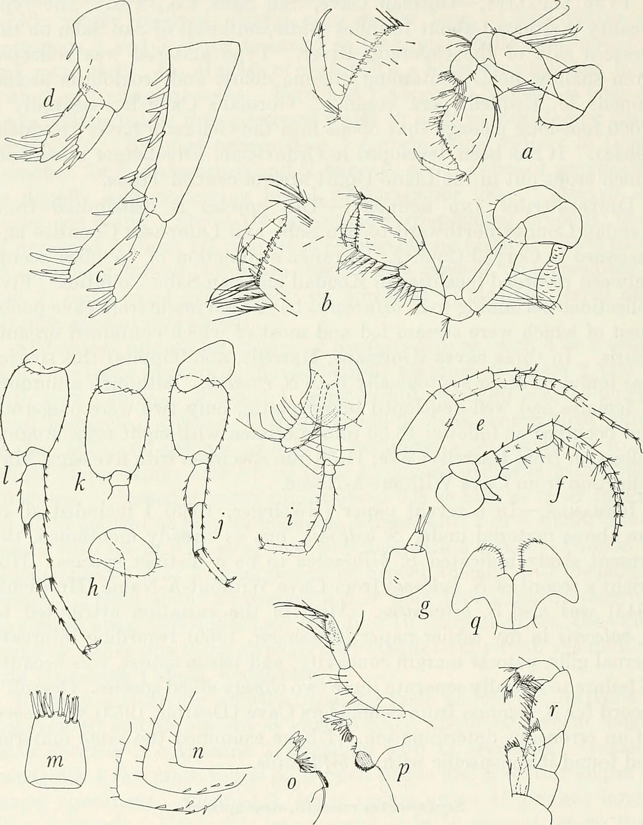 Photo of Travis Ranch