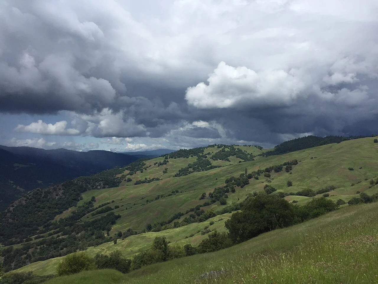 Photo of Travis Ranch