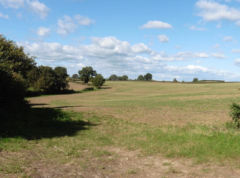 Photo of Trent Woods