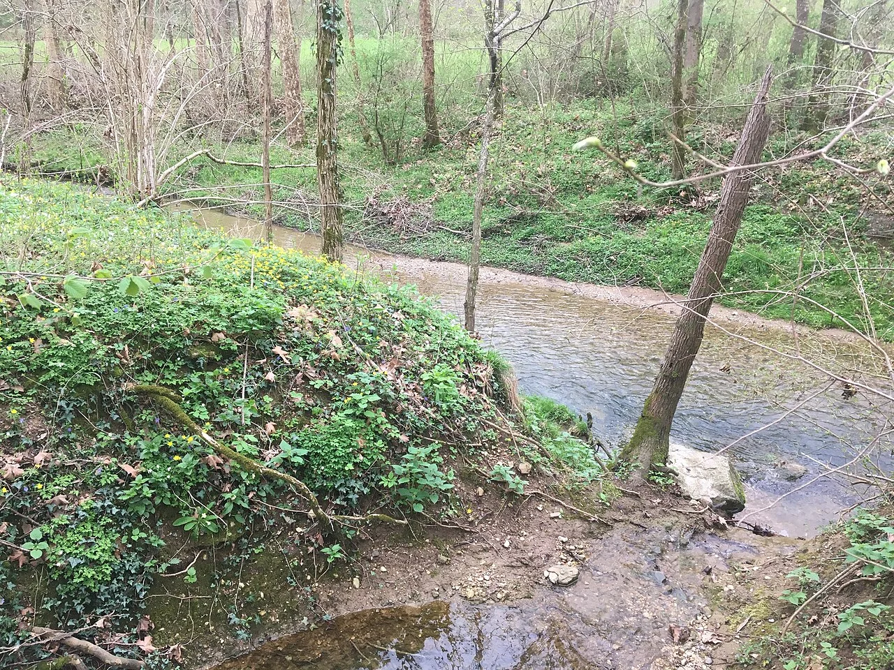 Photo of Treppo Grande