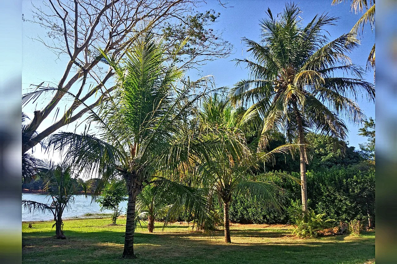 Photo of Três Ranchos