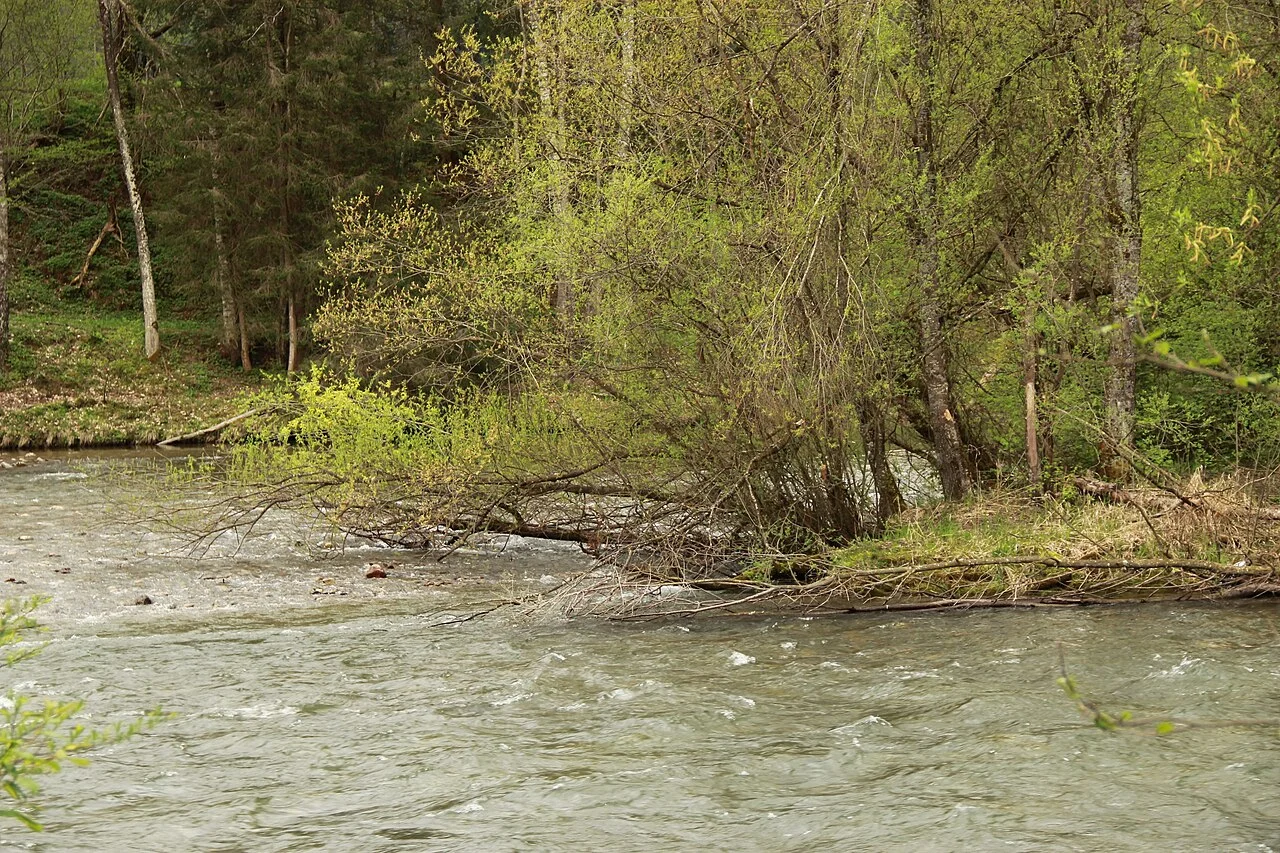 Photo of Triebendorf