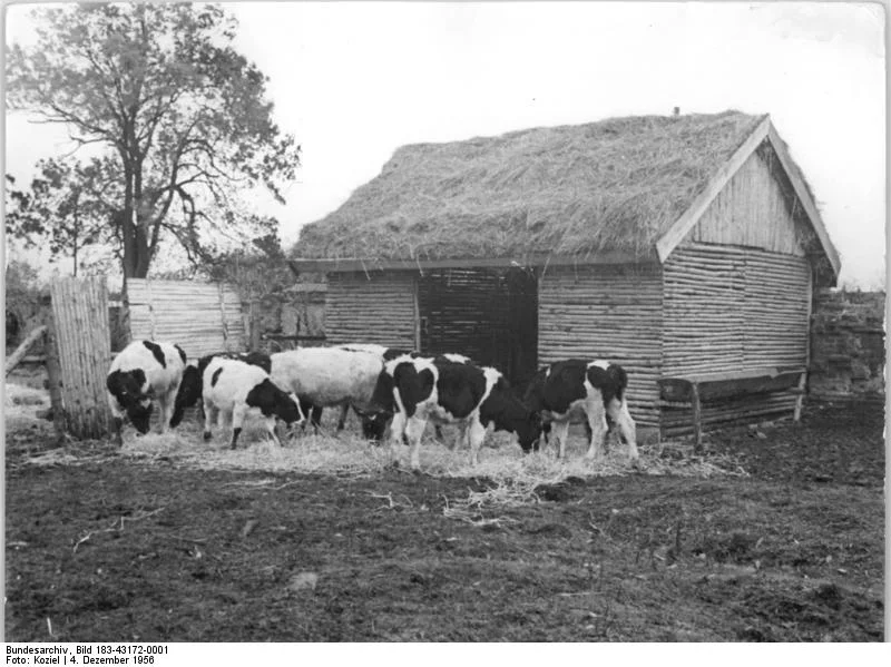 Photo of Trollenhagen