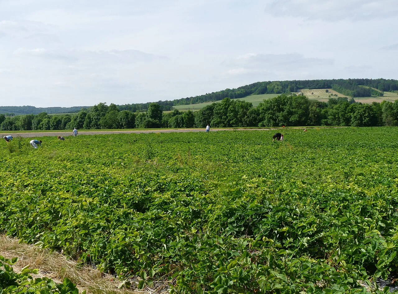 Photo of Tronville-en-Barrois
