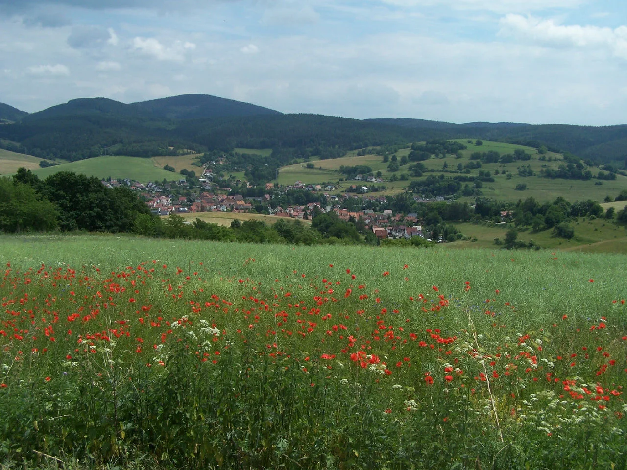 Photo of Trusetal