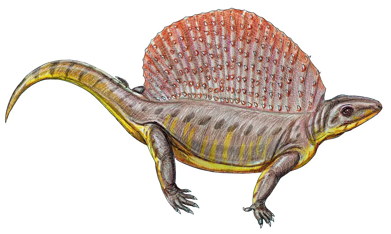 Photo of Tsagaan-Olom