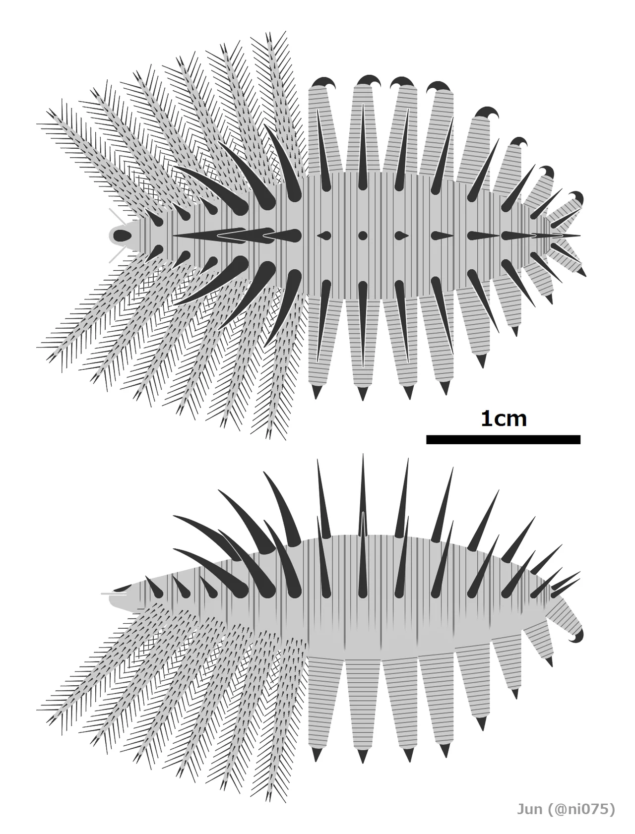 Photo of Tsagaan-Olom