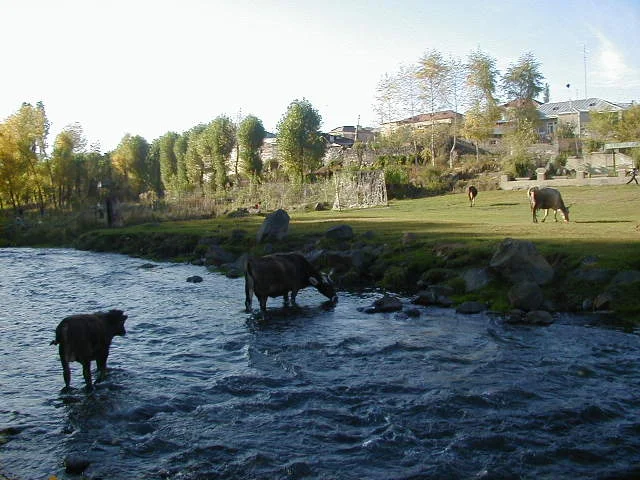 Photo of Ttujur