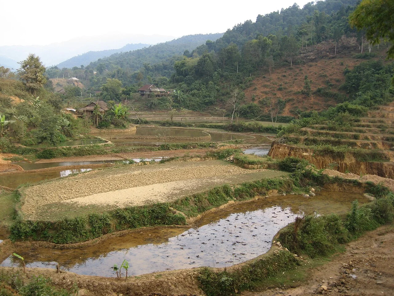 Photo of Tuần Giáo