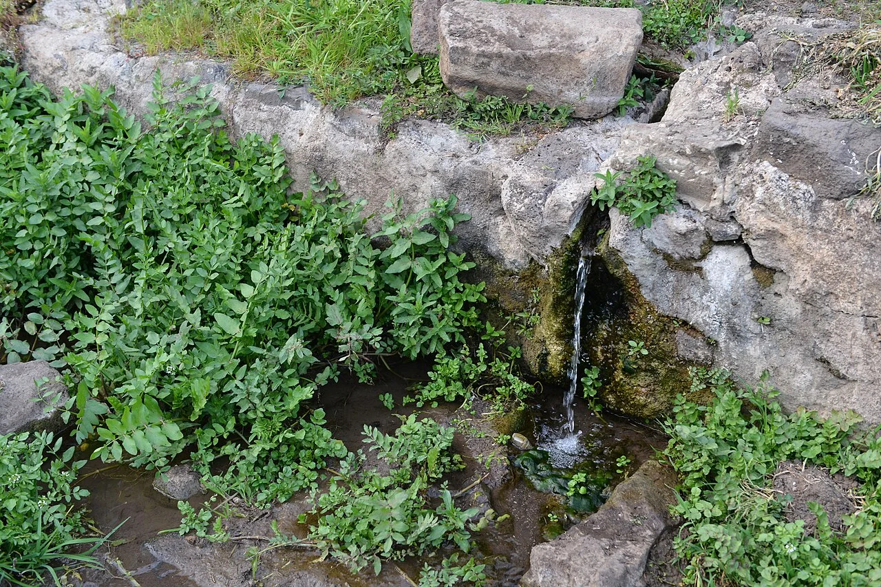 Photo of Tūbā Zangarīya