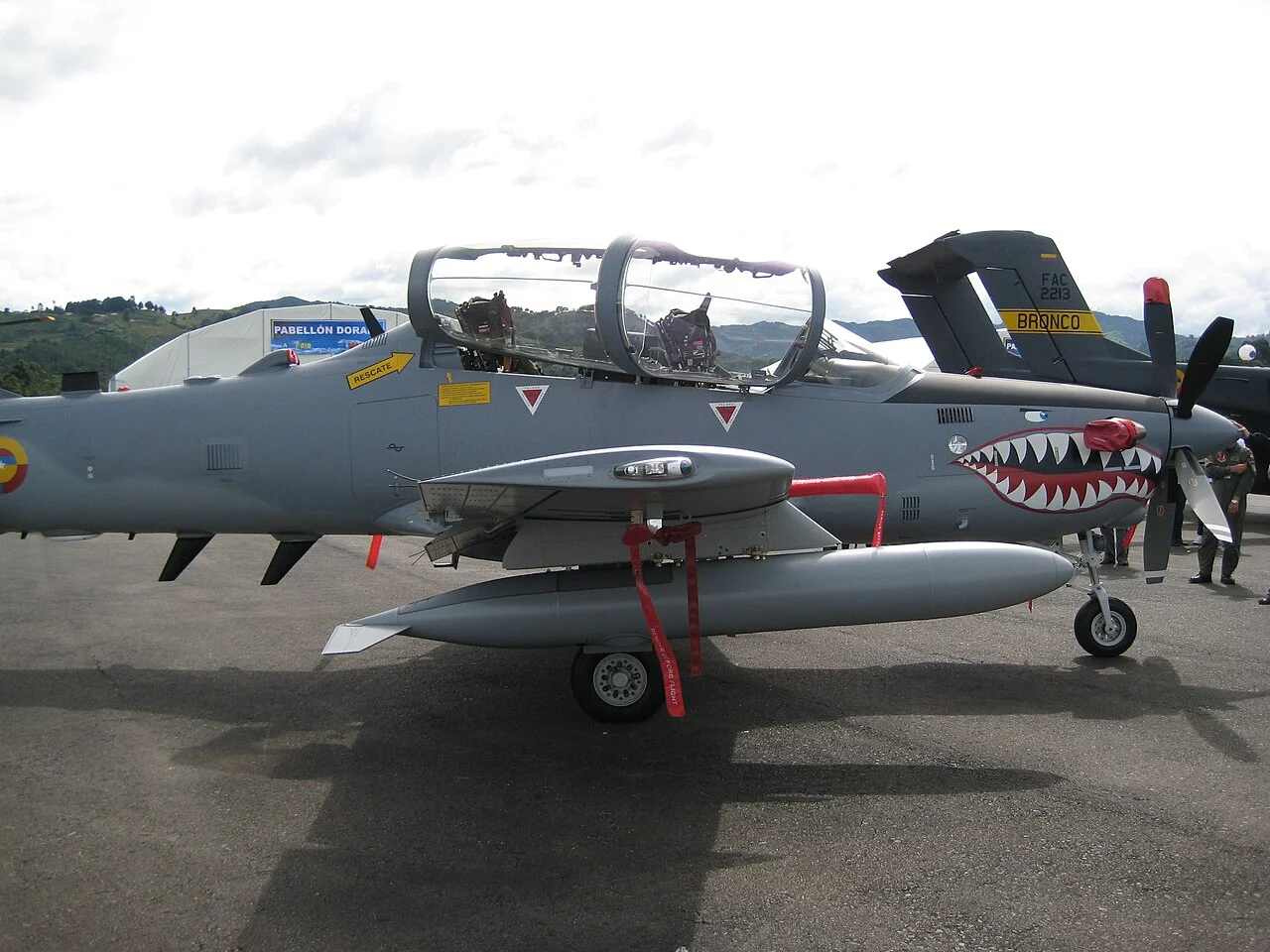 Photo of Tucano