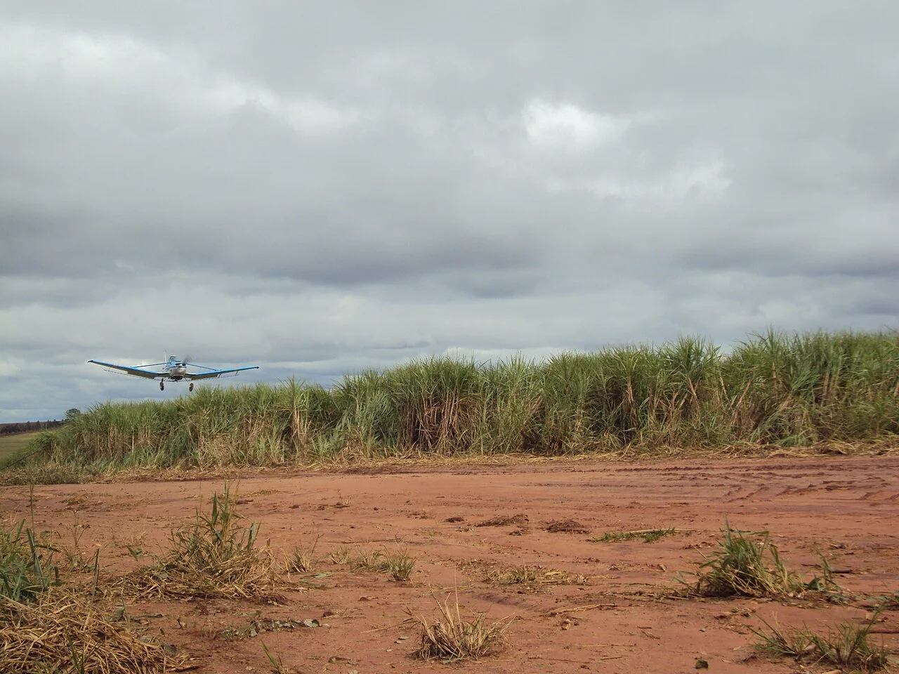 Photo of Tuneiras do Oeste