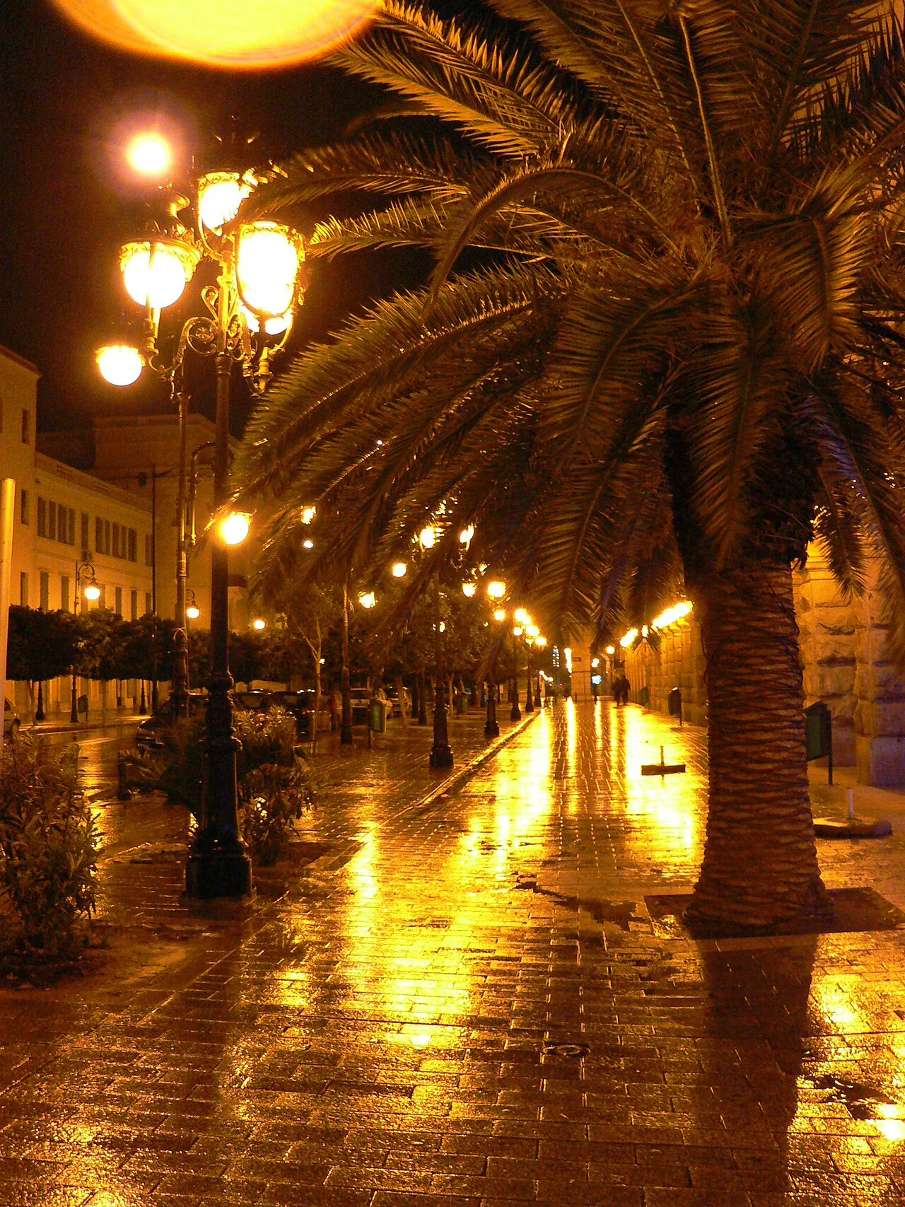 Photo of Tunis