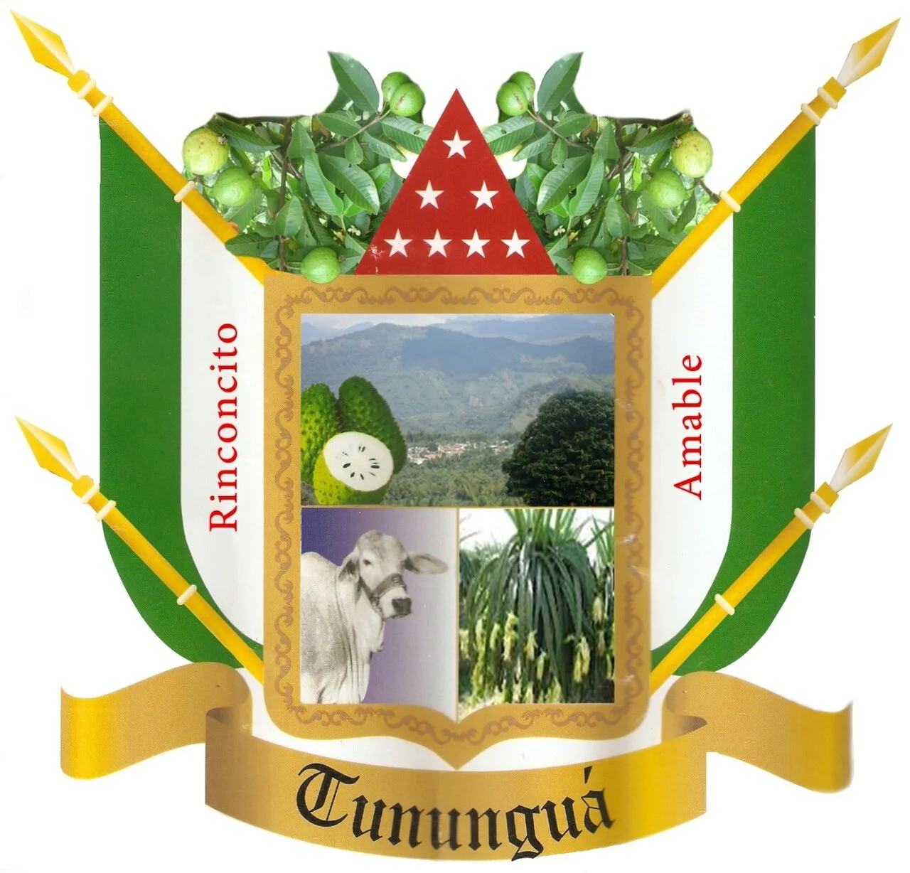 Photo of Tununguá
