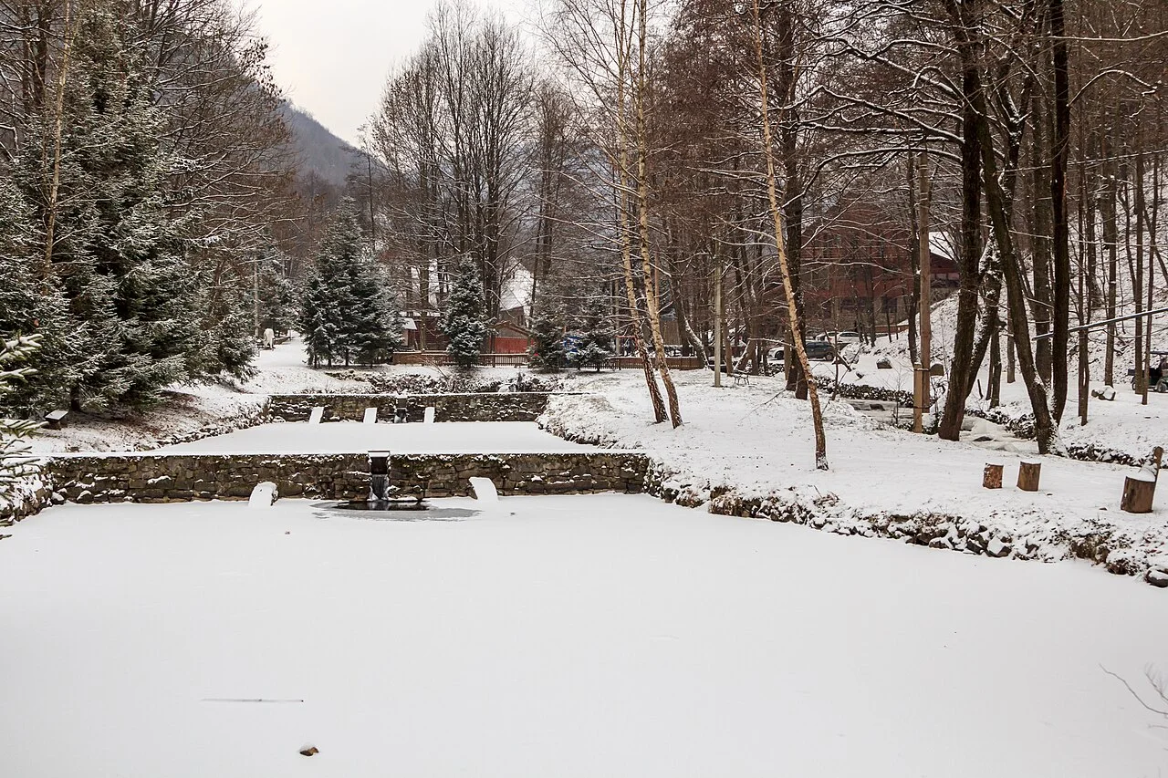 Photo of Tur'ya Pasika