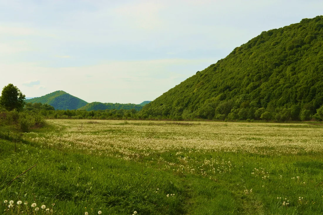 Photo of Turia Poliana