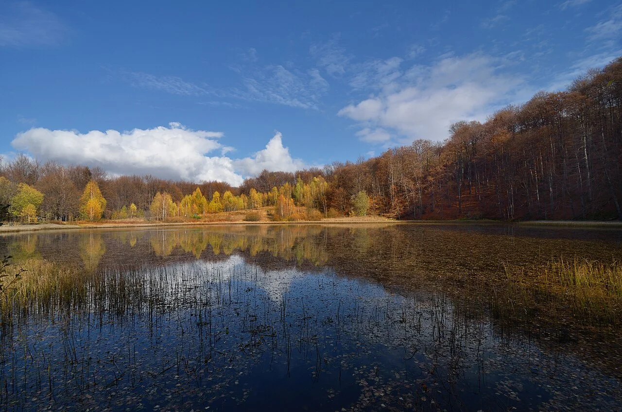 Photo of Turia Poliana