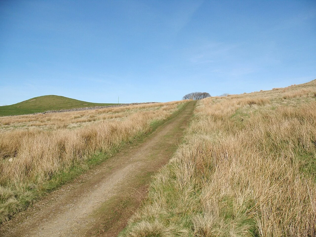 Photo of Turpin Hills