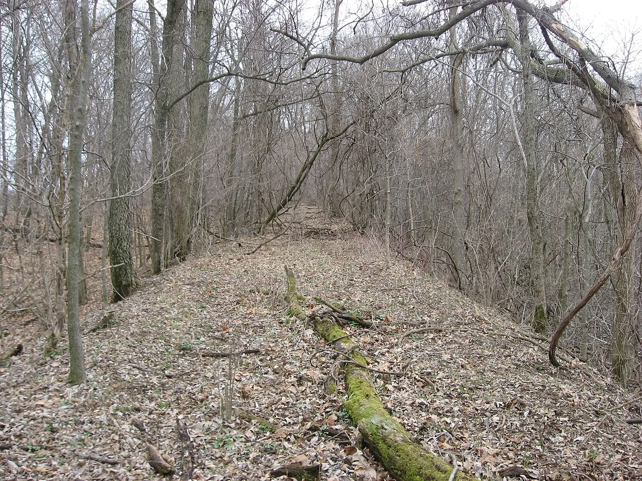 Photo of Turtle Creek