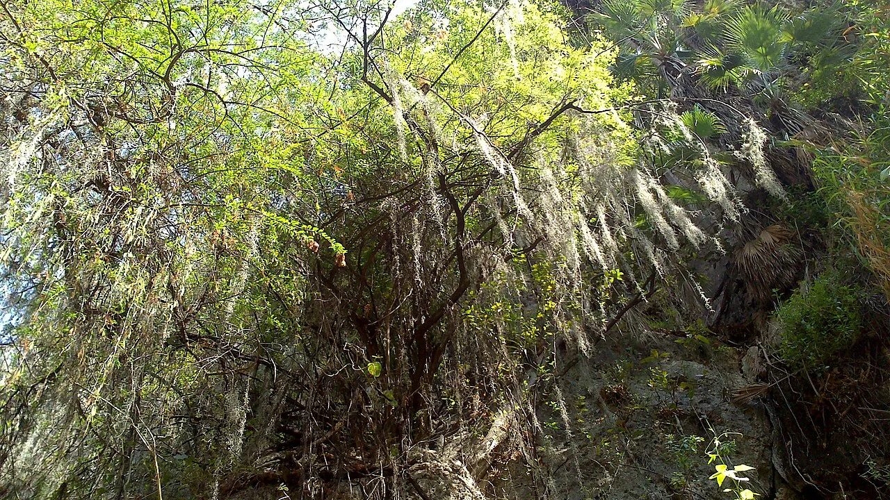 Photo of Tzicatlacoyan