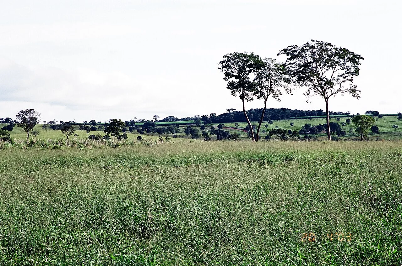 Photo of União de Minas